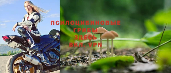 mdpv Дмитров