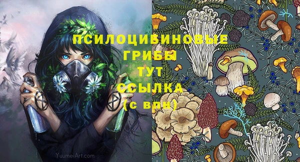 mdpv Дмитров