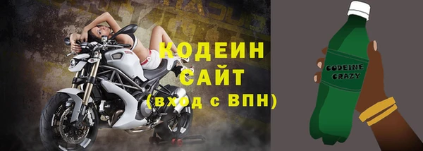 стаф Нестеровская