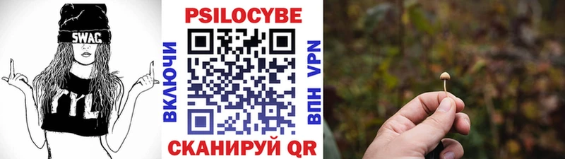 закладка  omg сайт  Галлюциногенные грибы Cubensis  Мезень 